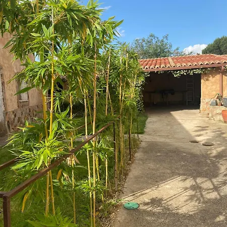La Lecheria De Daniela