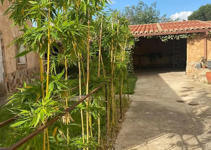 La Lecheria De Daniela